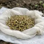 Lõputu aiapeenra saladus ehk kuidas saada esimene petersellisaak kaks nädalat enne naabreid loputu-aiapeenra-saladus-ehk-kuidas-saada-esimene-petersellisaak-kaks-nadalat.png