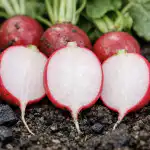 Täiuslikult magusate, tühimike ja teravuseta redise saladus taiuslikult-magusate-tuhimike-ja-teravuseta-redise-saladus.png