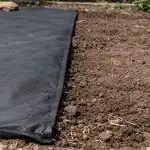 Erinevate umbrohutõrje lähenemisviiside tõhusus erinevate-umbrohutorje-lahenemisviiside-tohusus.png